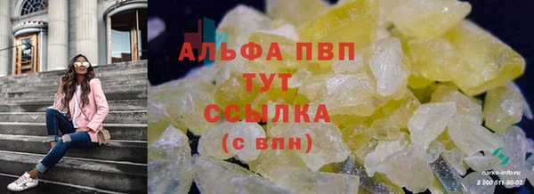 стафф Богородицк
