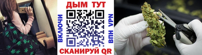 даркнет Telegram  Борзя  Бошки марихуана Bruce Banner 